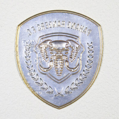 สัญลักษณ์ TPU Embossed Badge แพทช์ทีม 3D Heat Press สําหรับชุดกีฬา